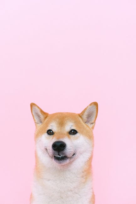 506 shiba inus viral marketing hype influencers and community