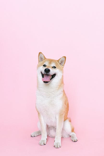 Shiba Inu's WoofPaper: Exploring the White Paper for Insights