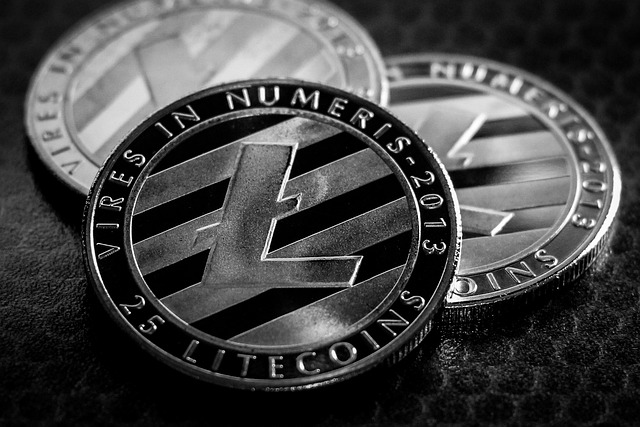 Litecoin's Role in Gaming: NFTs and Virtual Economies